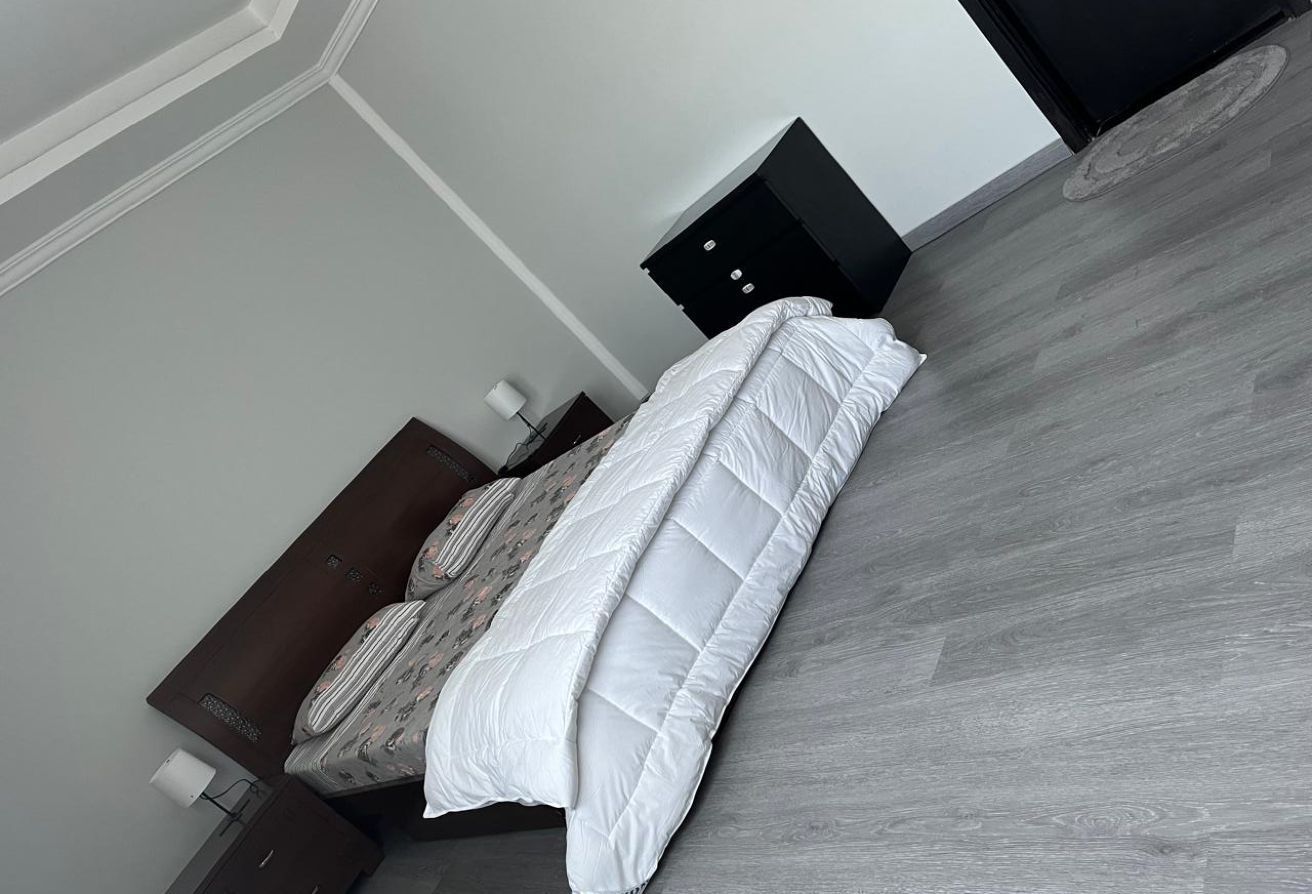 Al Reef Downtown apartment 1 bedroom furnished investment UAE